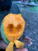গোবিন্দভোগ আম - Image 2